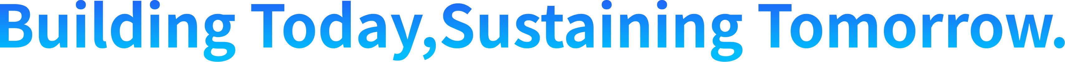 Building Today,Sustaining Tomorrow. Building Today,Sustaining Tomorrow.